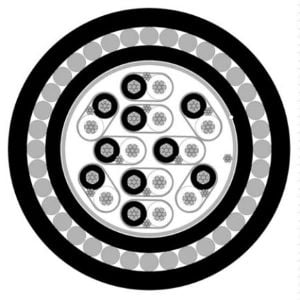 10 Pair, 0.5mm², TCW, ESCS, PVC 90°C, SWA, 110VAC, Instrumentation Cable (MAS5010ESCSSWA) - Image 2